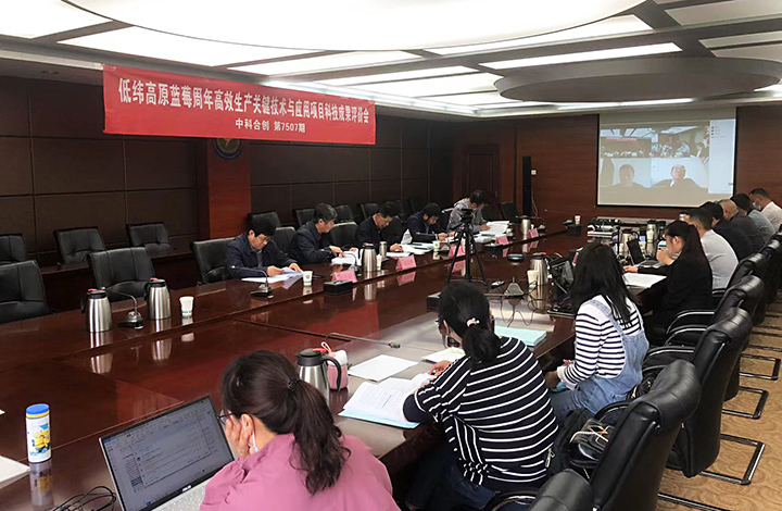 低纬高原蓝莓周年高效生产关键技术与应用 anli.jpg